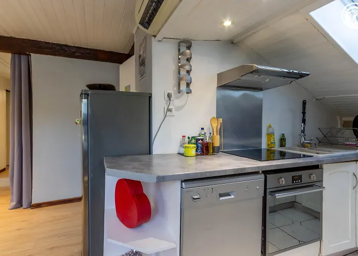 Le Coeur Des Alpes Apartment Aix-les-Bains